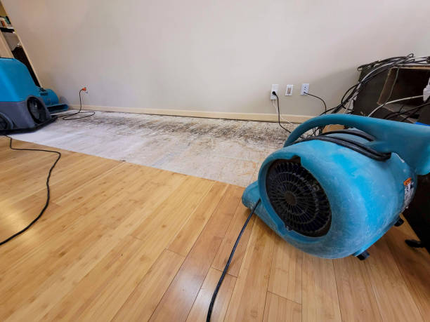 Professional Burst Pipe Water Damage technician working in Glendale, MS